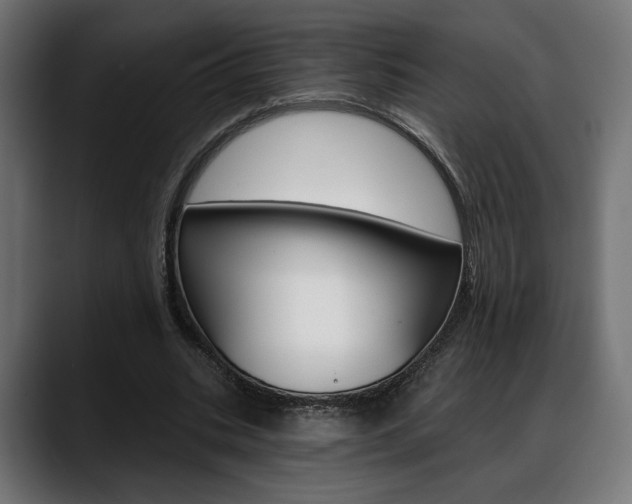 X0000088630535200705250900