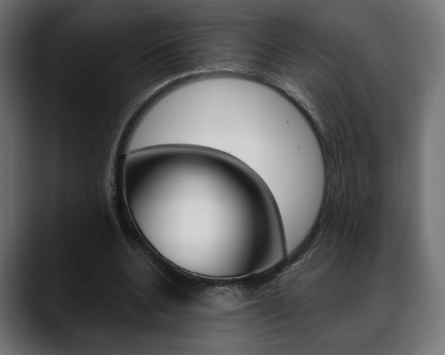 X0000088630536200705250900