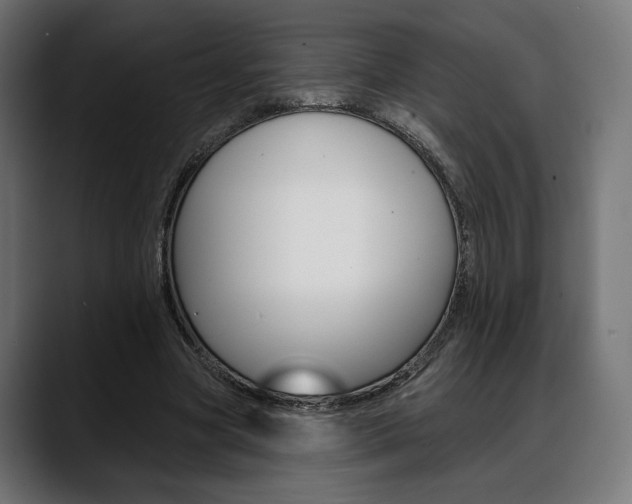 X0000088630537200705250900