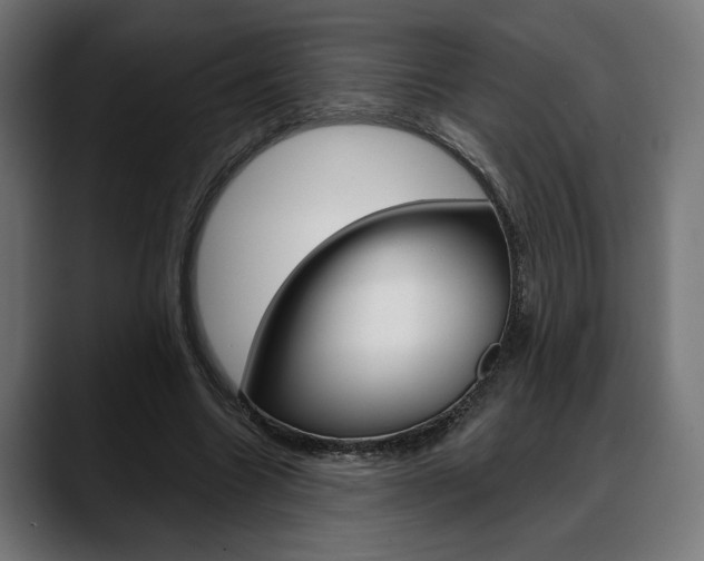 X0000088630538200705250900