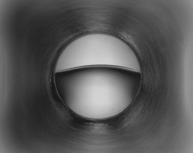 X0000088630539200705250900