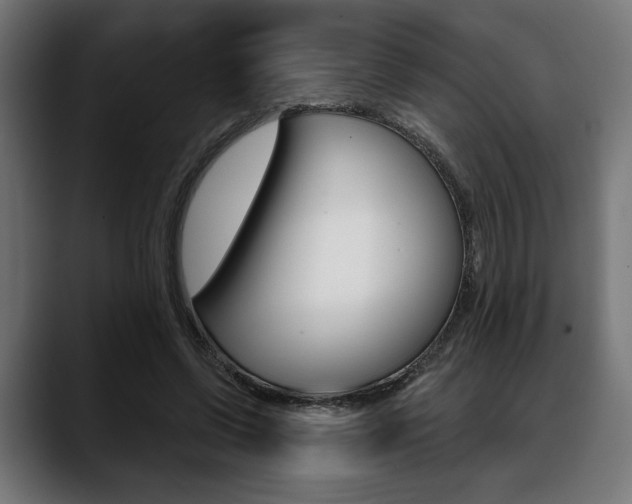X0000088630542200705250900