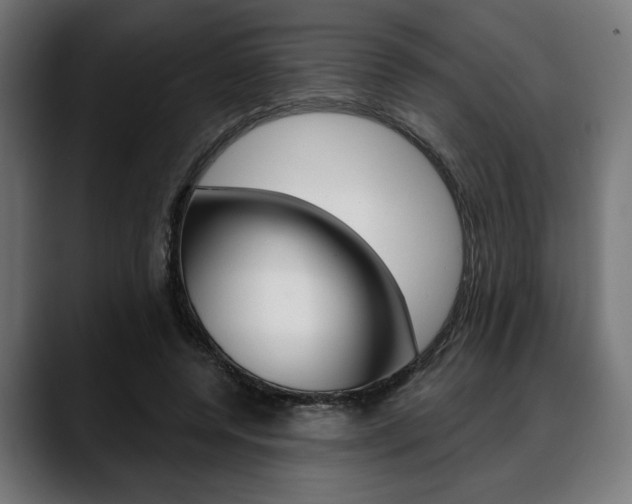 X0000088630544200705250900