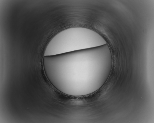 X0000088630545200705250900