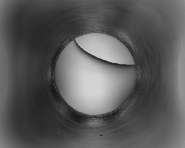 X0000088630549200705250900