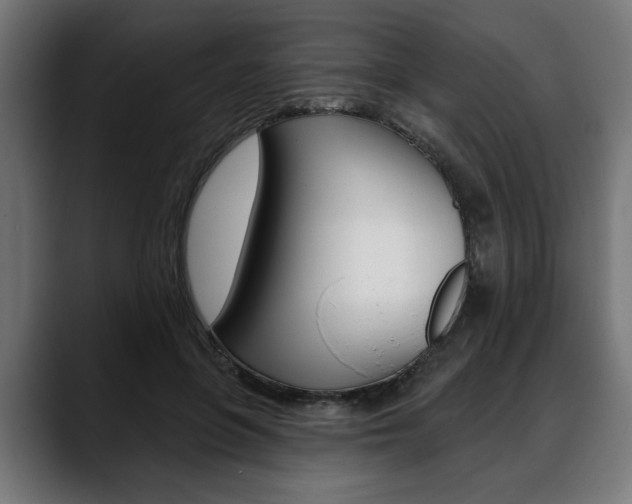X0000088630551200705250900