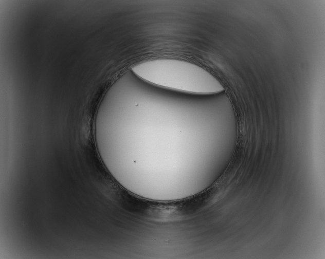 X0000088630554200705250900