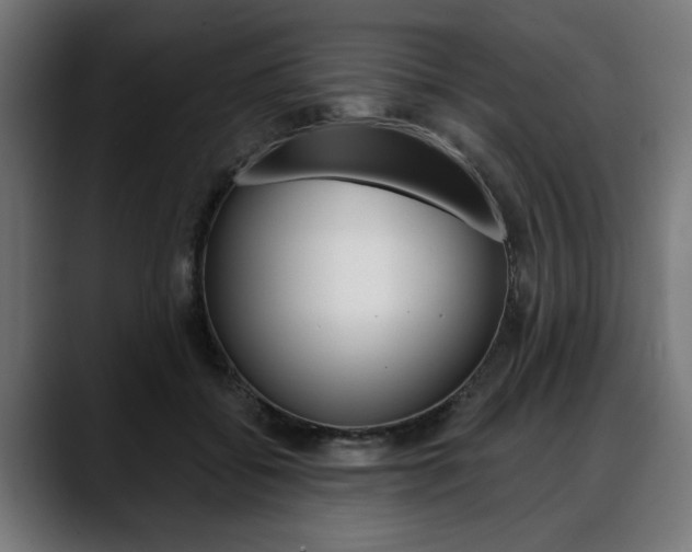X0000088630556200705250900