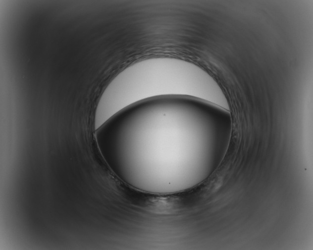 X0000088630558200705250900