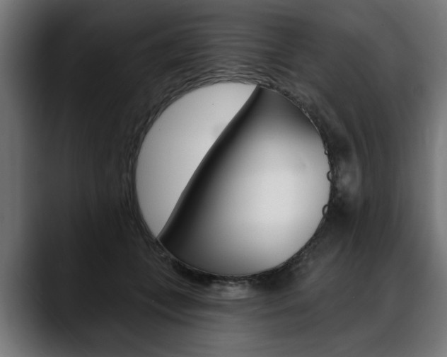 X0000088630559200705250900