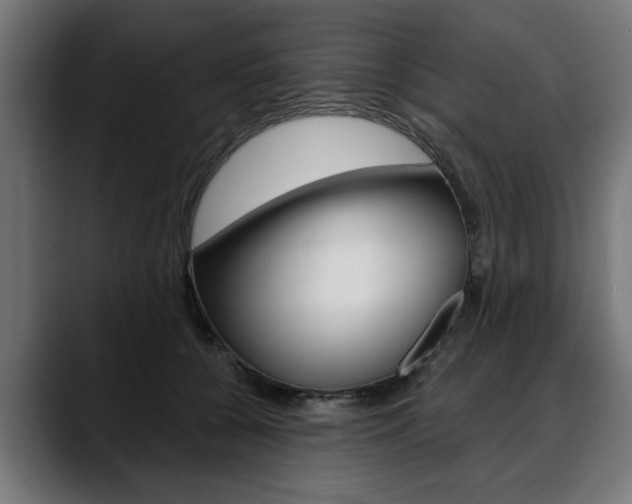 X0000088630560200705250900
