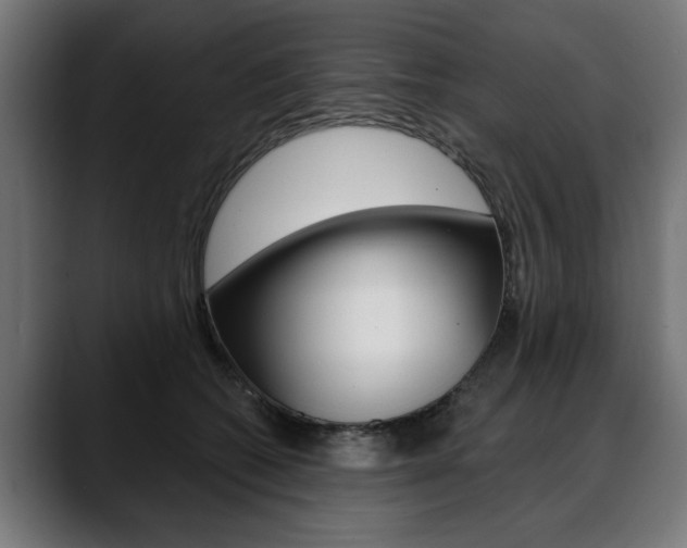 X0000088630562200705250900