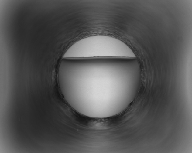 X0000088630563200705250900