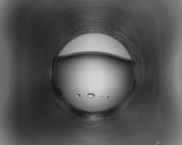 X0000088630564200705250900