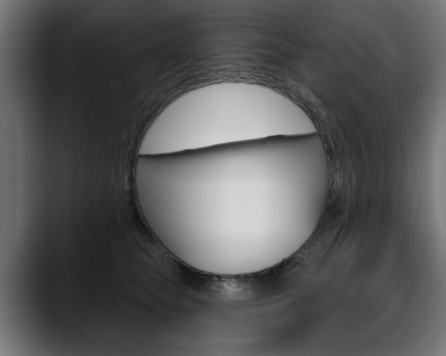 X0000088630565200705250900