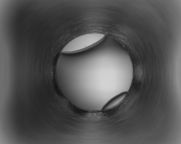 X0000088630571200705250900