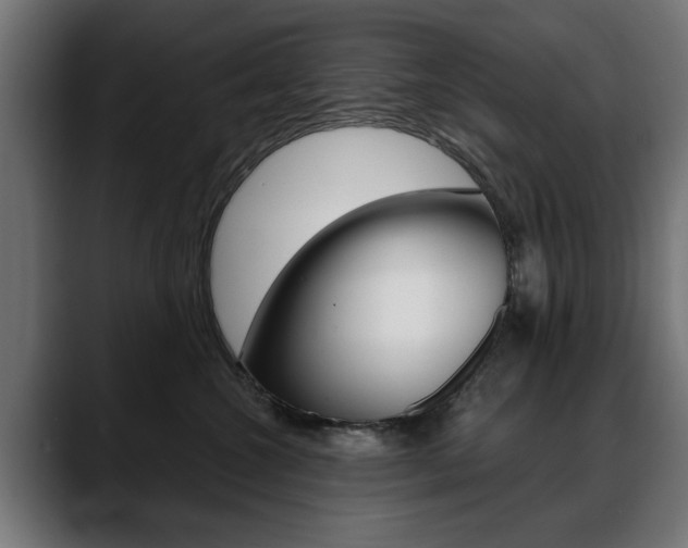 X0000088630572200705250901