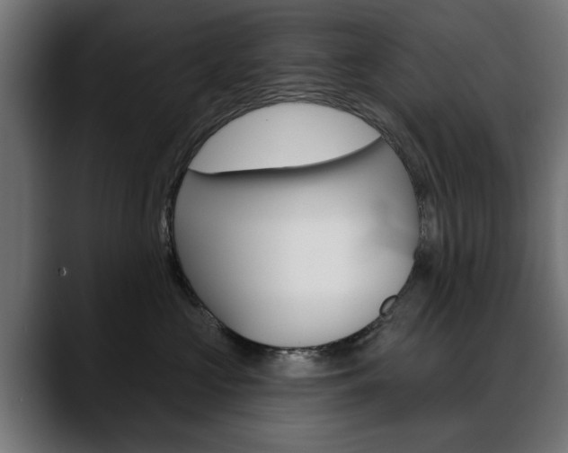 X0000088630573200705250901