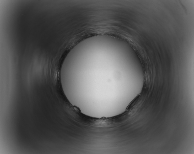 X0000088630574200705250901
