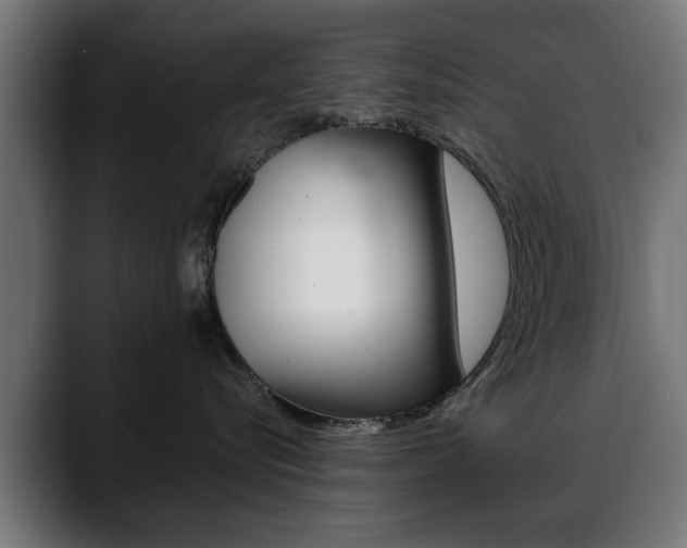 X0000088630576200705250901
