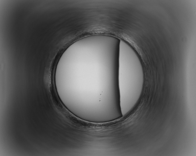 X0000088630582200705250900