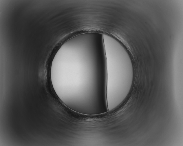 X0000088630584200705250900
