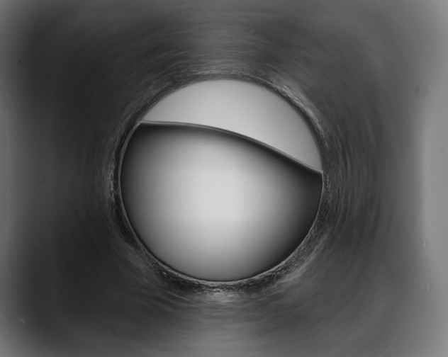 X0000088630585200705250900