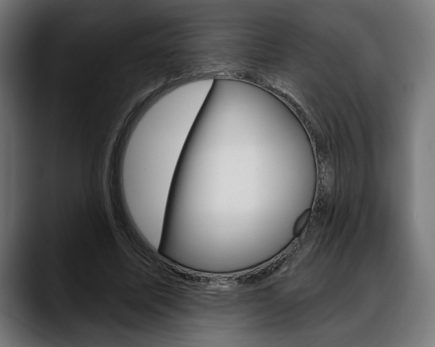X0000088630587200705250900