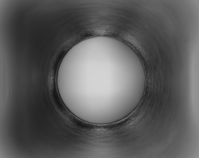 X0000088630590200705250859