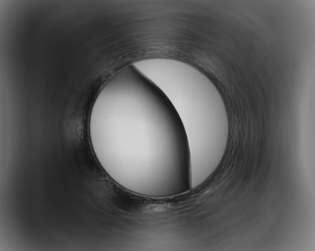 X0000088630595200705250859