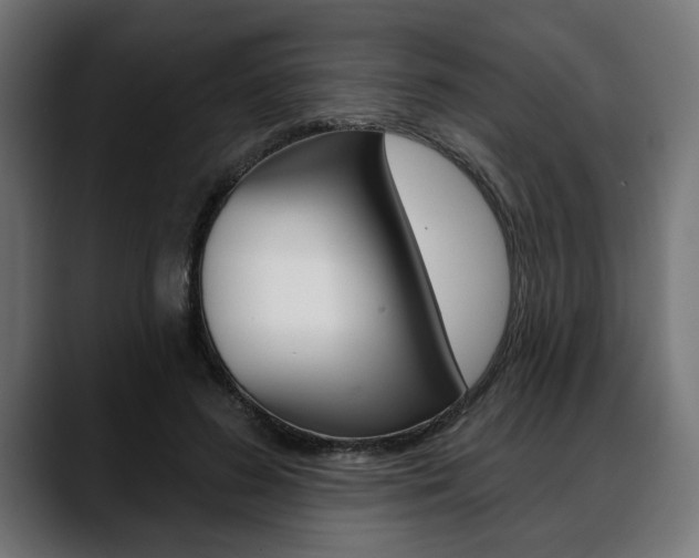 X0000088630596200705250859