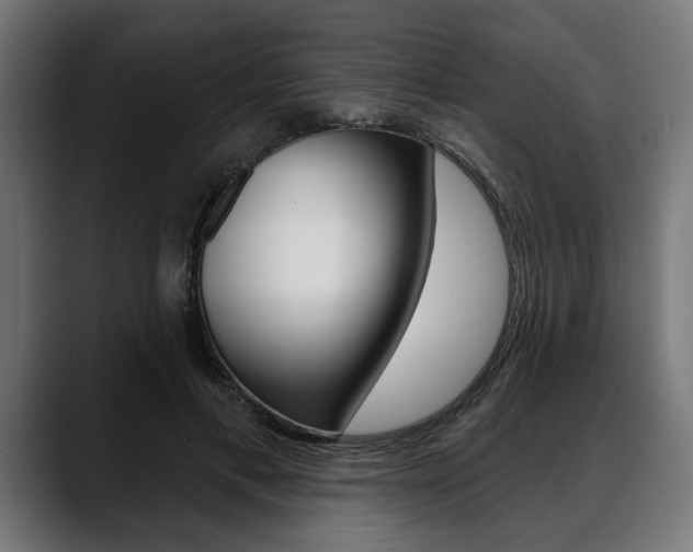 X0000088630597200705250859