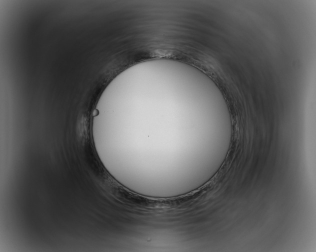 X0000088630598200705250859