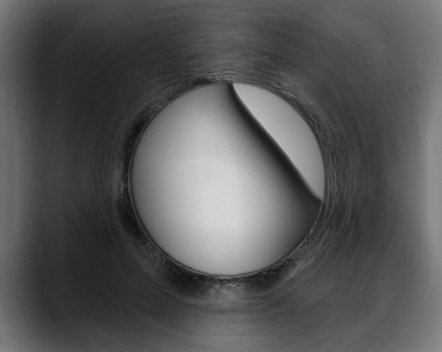 X0000088630599200705250859