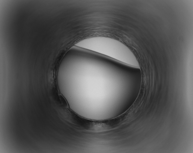 X0000088630605200705250859