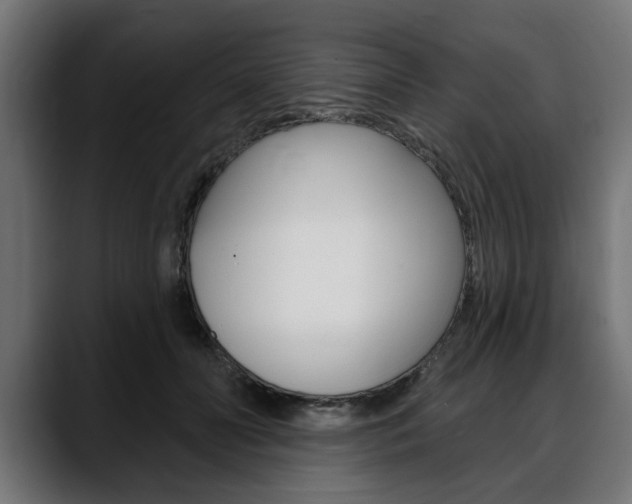 X0000088630606200705250859