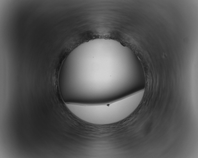 X0000088630609200705250859