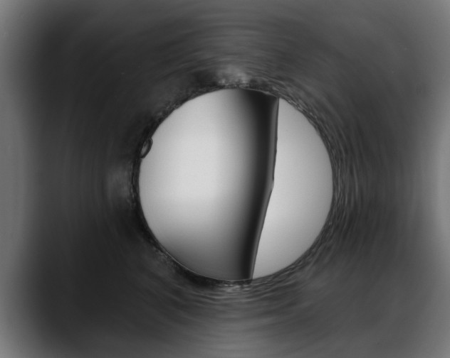X0000088630616200705250859