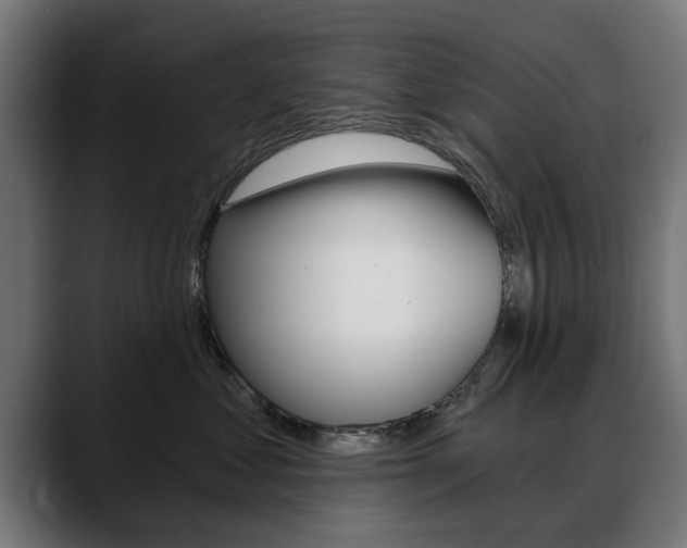 X0000088630621200705250859