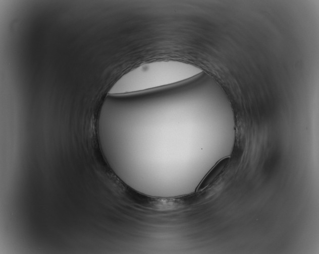 X0000088630623200705250859