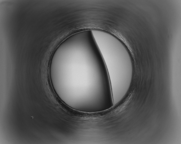 X0000088630625200705250858