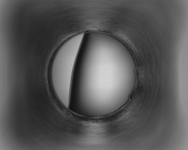 X0000088630626200705250858