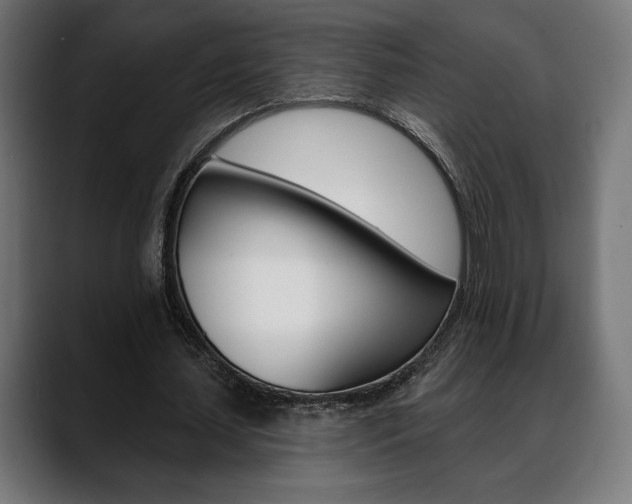 X0000088630627200705250858