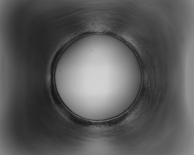 X0000088630630200705250858