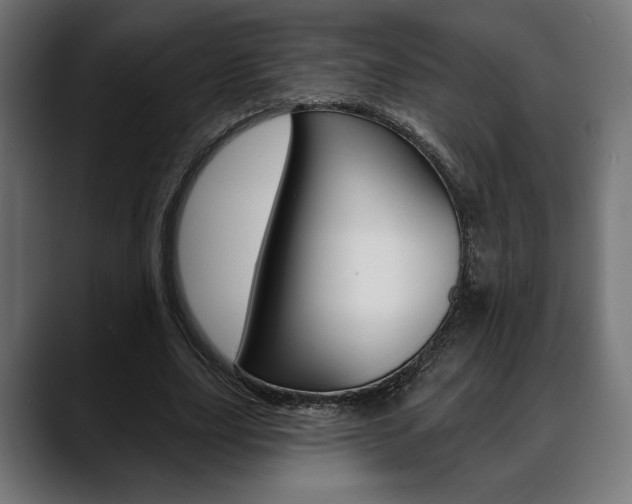 X0000088630631200705250858
