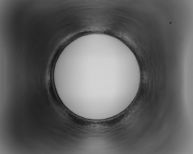 X0000088630632200705250858