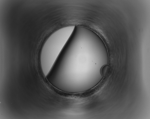X0000088630633200705250859