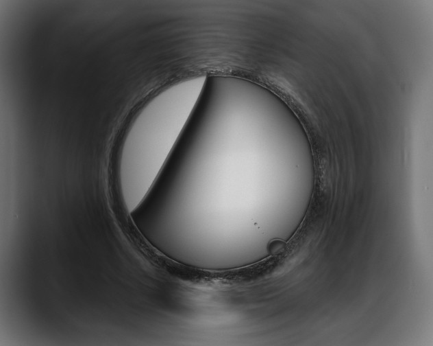 X0000088630634200705250859