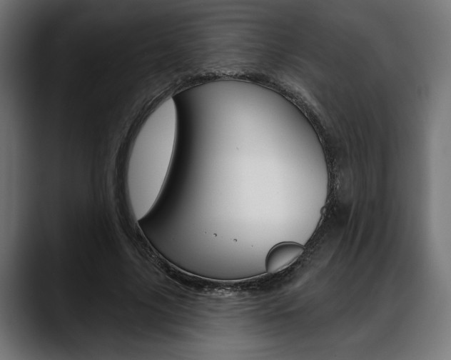 X0000088630635200705250859