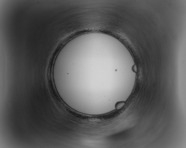 X0000088630636200705250859